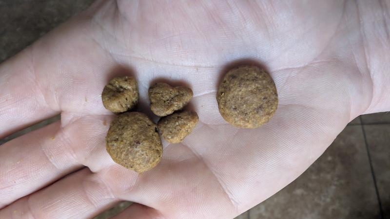 Regular vs Large Bits