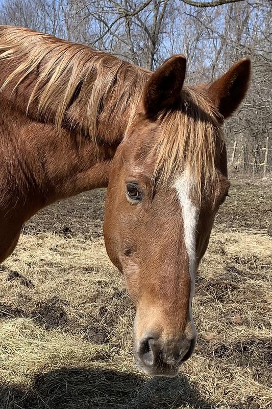 Jack was a happy camper