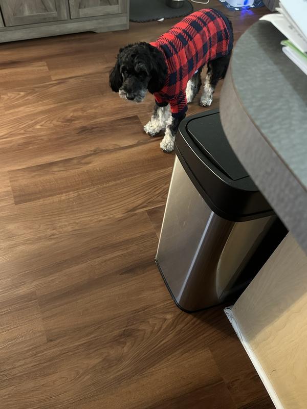 First try on - she wanted no parts of the sweater and refused to move.