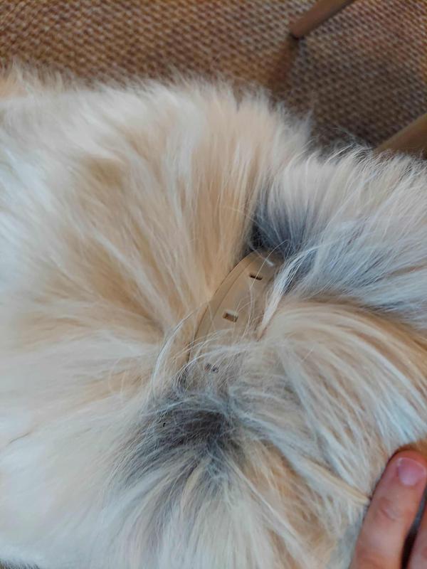 Love the color of the strap with my floofer's white fur. Looks much better than the black we had previously.