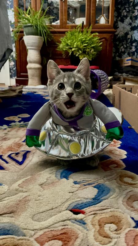 Frisco Front Walking Alien Dog & Cat Costume