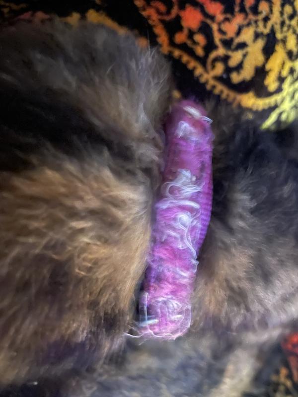 low quality, overpriced