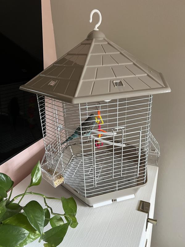 Gray cage with parakeet
