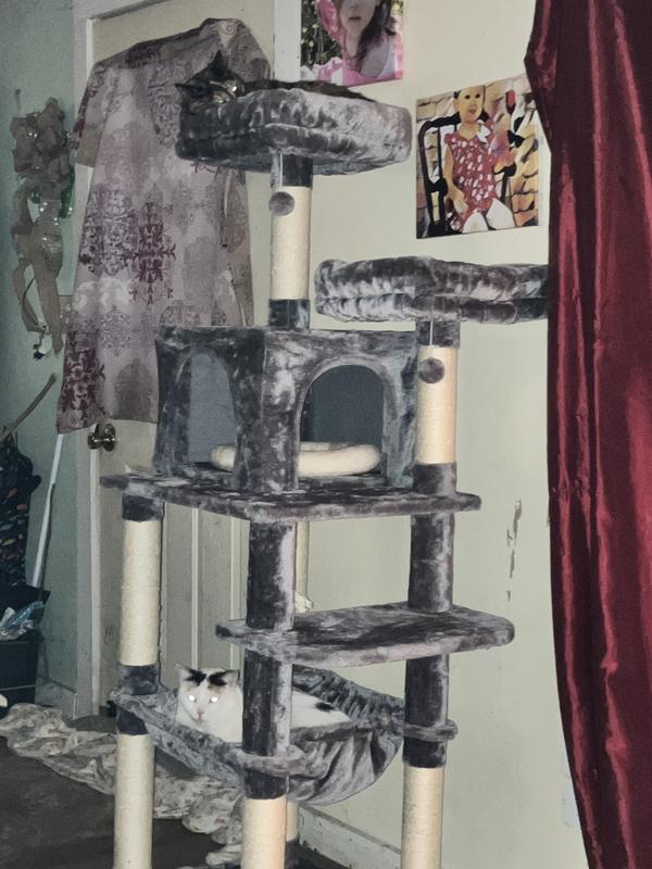 FRISCO 64in Cat Tree with Hammock, Condo, 2 Top Perches with Bed, Gray Chewy Canada
