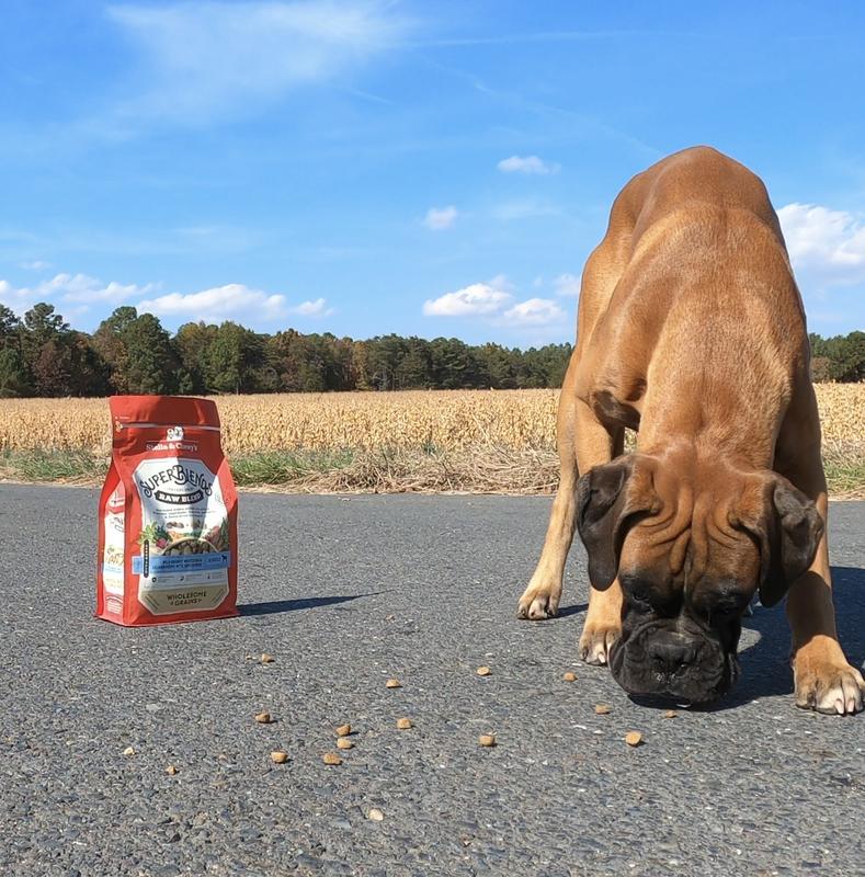 Dog food advisor stella and clearance chewy