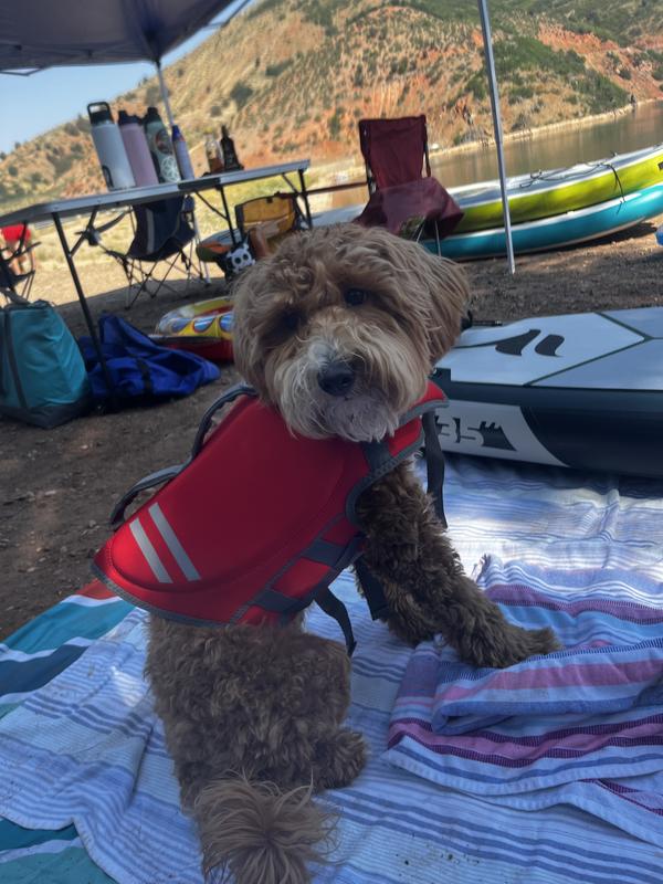 FRISCO Neoprene Dog Life Jacket, Red, Large