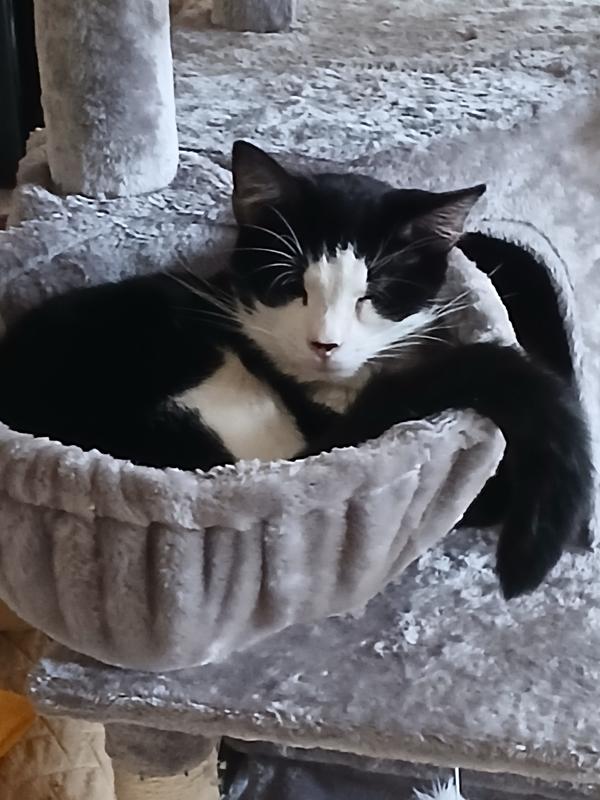 Spencer ready for naps after dinner