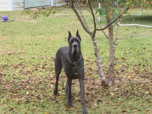 Only the best will do for moms pride and joy!!