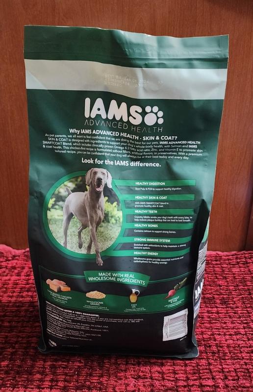 Iams dog 2024 food causing itching