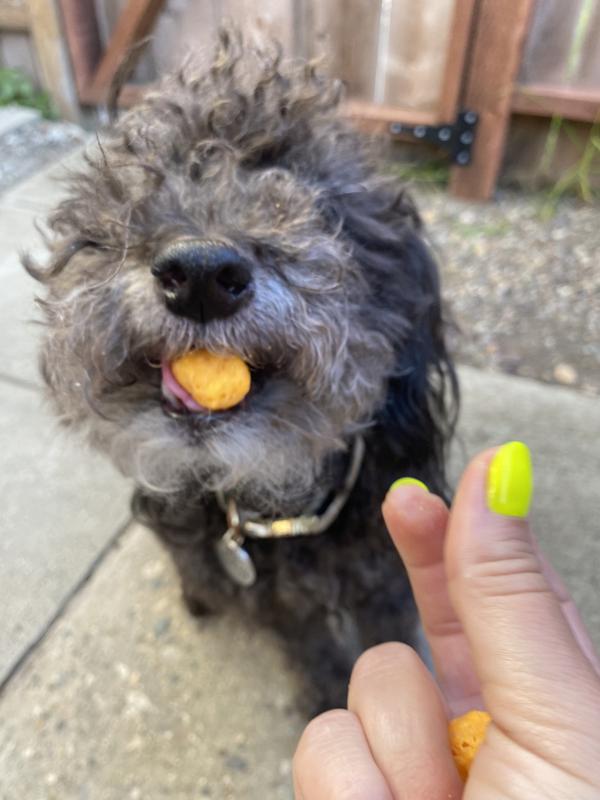 Pupford Cheddar Crunchies Human-Grade Limited Ingredient Cheddar Cheese Flavored Crunchy Dog Treats