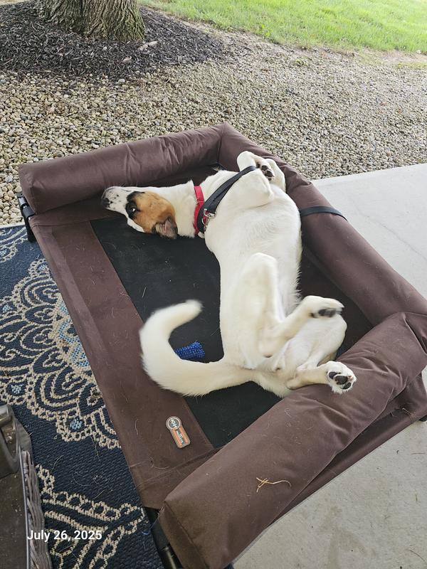 Fits me perfectly. I can stretch and roll around or I may even take a quick snooze every now and then.
