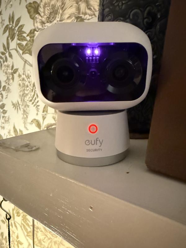 It’s cute and blends in