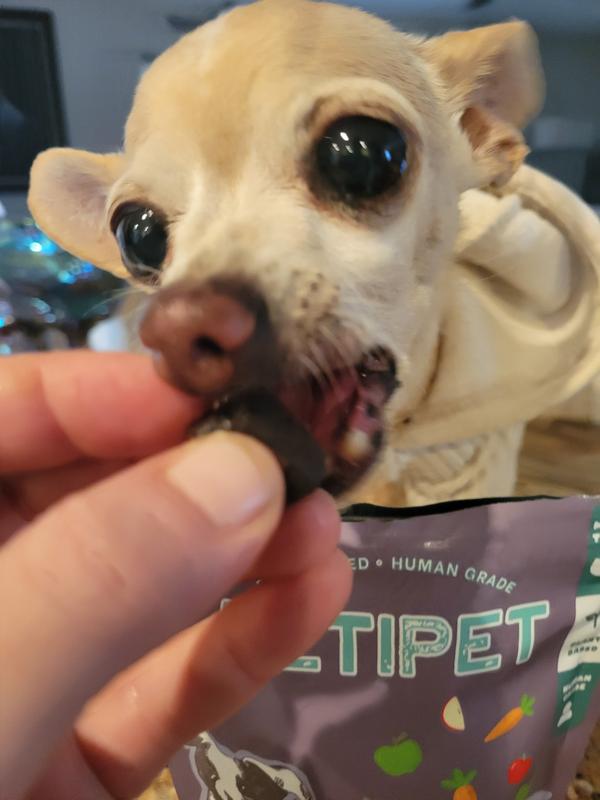 Picky doggo approved!