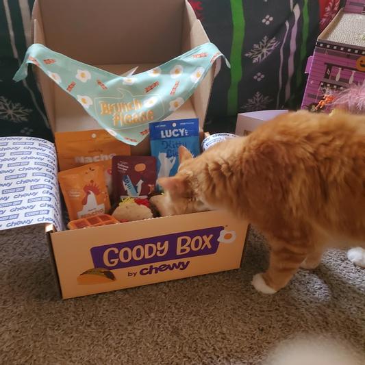 Chewy monthly outlet subscription box