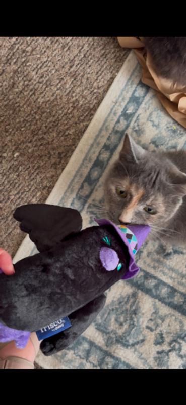 Allie loves this toy! She was the first to take it and put it to use.