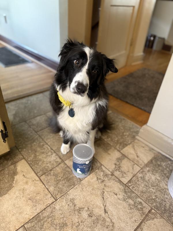 Megan with the treats! Megan really likes the treats!  Emley likes to poise but she likes them too!