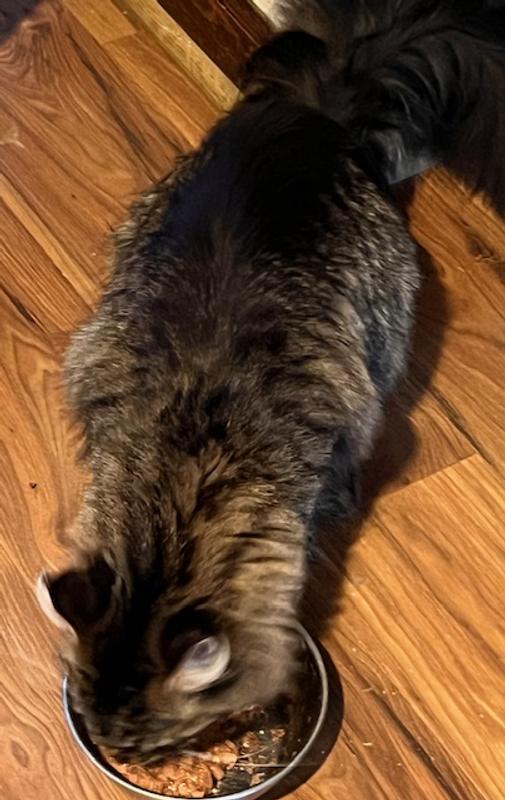 Holly won't even look up for the photo op!