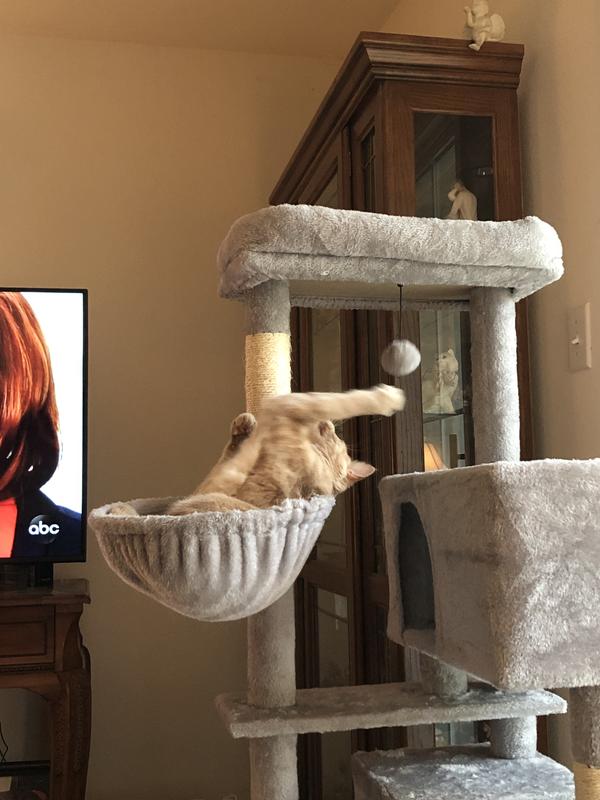 Loves playing with the ball