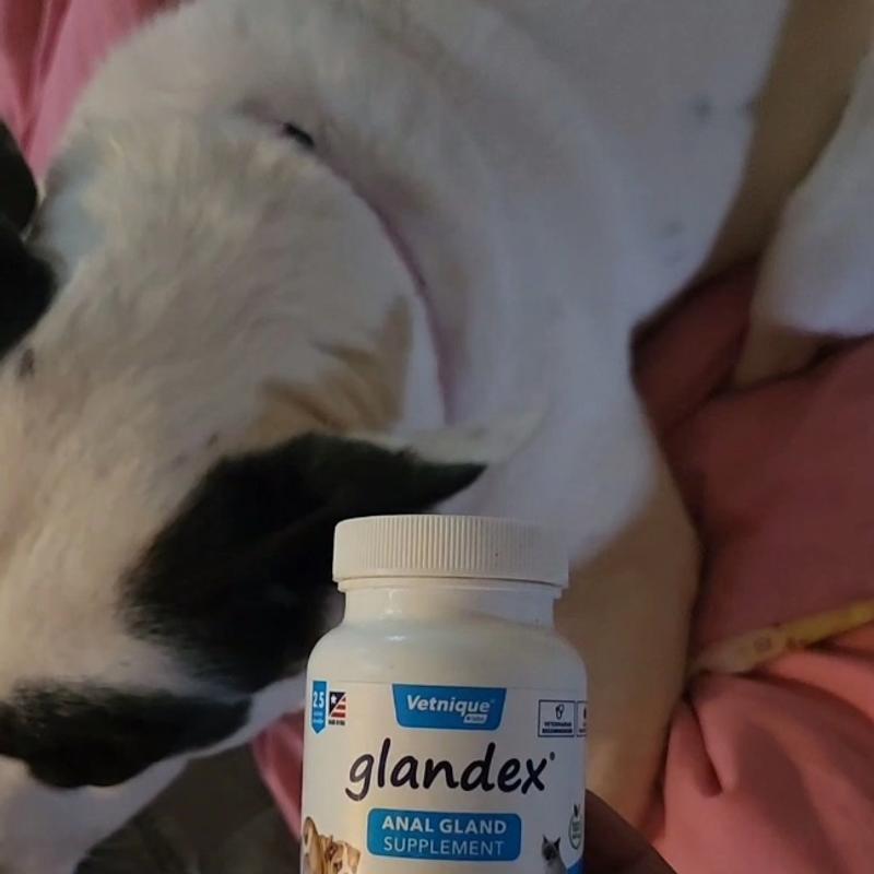 Glandex sale powder reviews