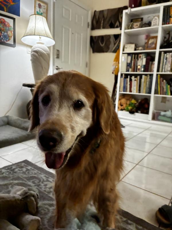 Sweet Lucy Loo