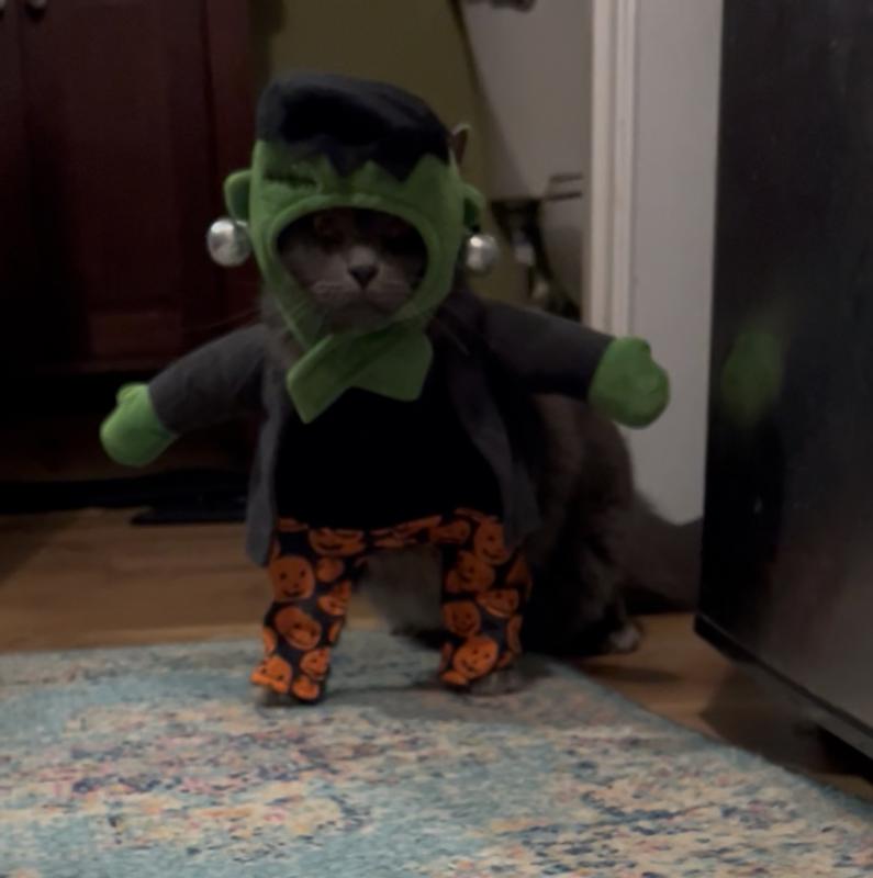 This is before I did anything.