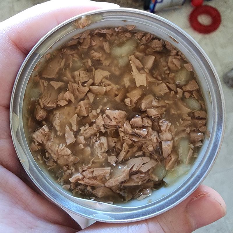 A top-down shot of an open can of the Purina Pro Plan food.