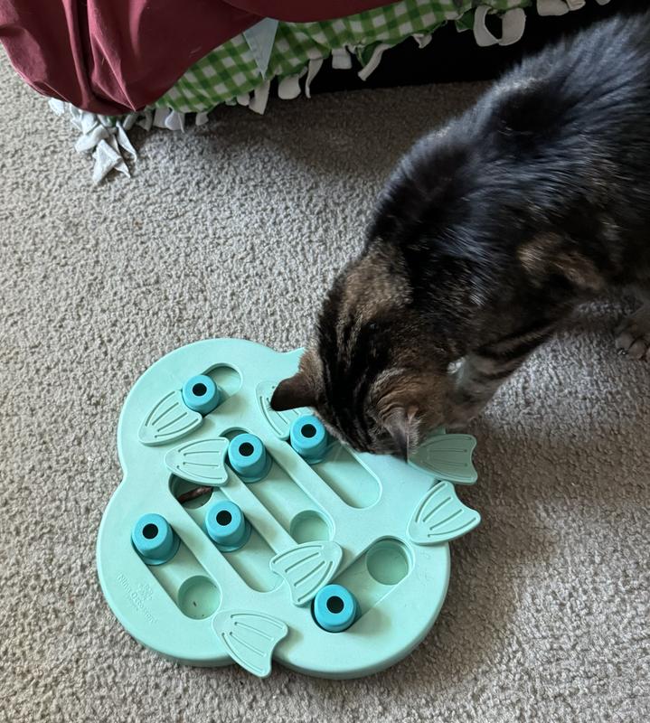 George claiming treats