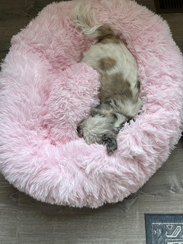 PETAMI Donut Cat & Dog Bed, Pink, Small: 23-in - Chewy.com