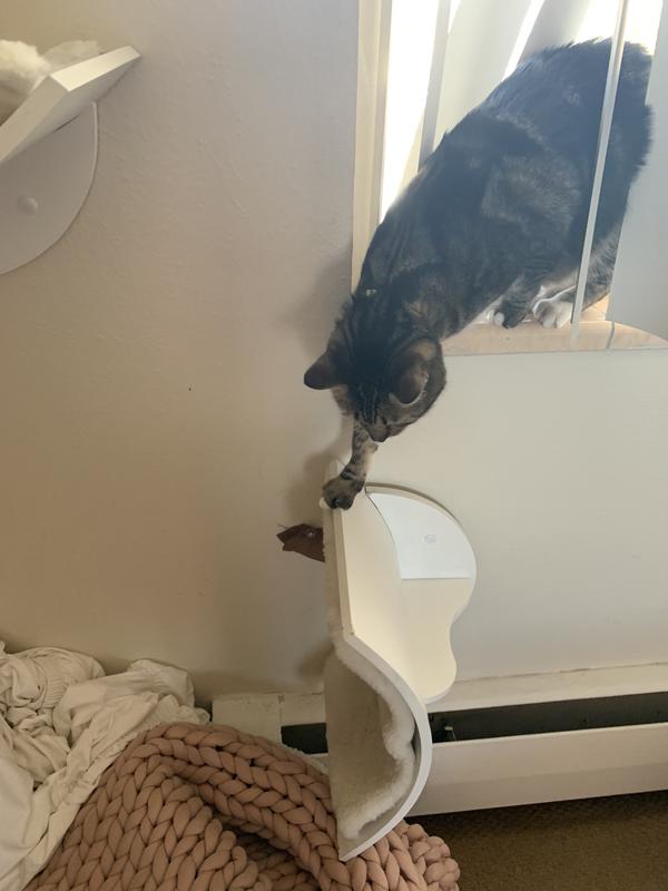 TRIXIE Bed Wall Mounted Cat Shelf, White