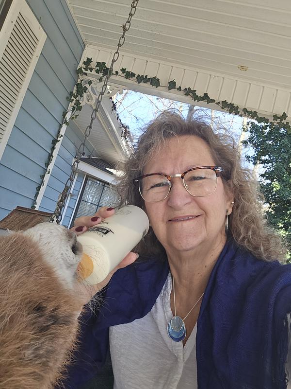 Happy Sunday feeding the baby donkey, Lizzie.