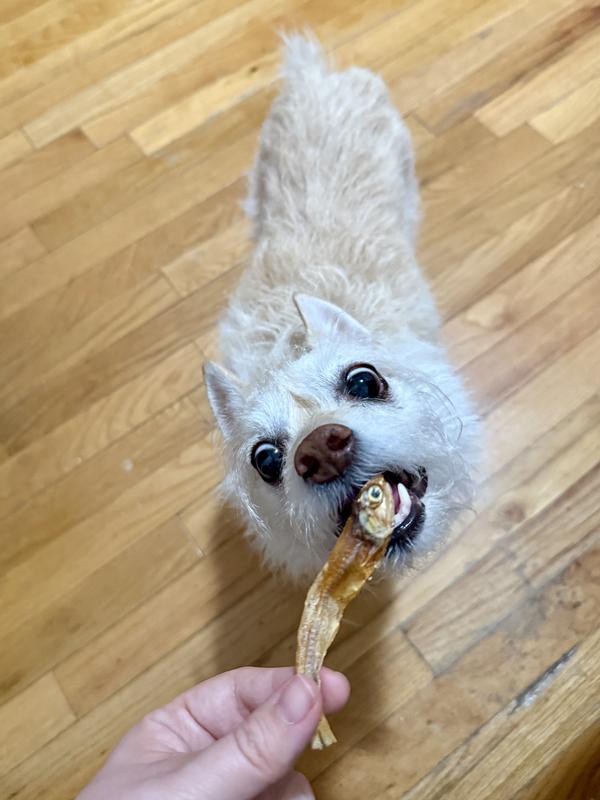 Going in for the grab!