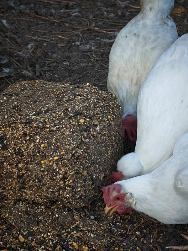 They ladies love it!