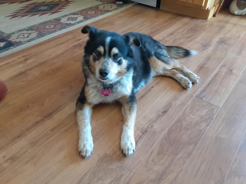 Going on 15 years young and still trucking along!!!