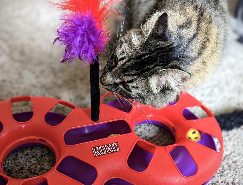 Kong Infused Gyro Cat Toy