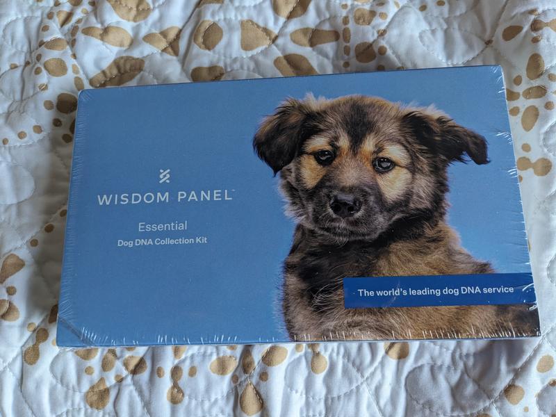 Arrived with instructions, after swabing the sample it took around two weeks for results