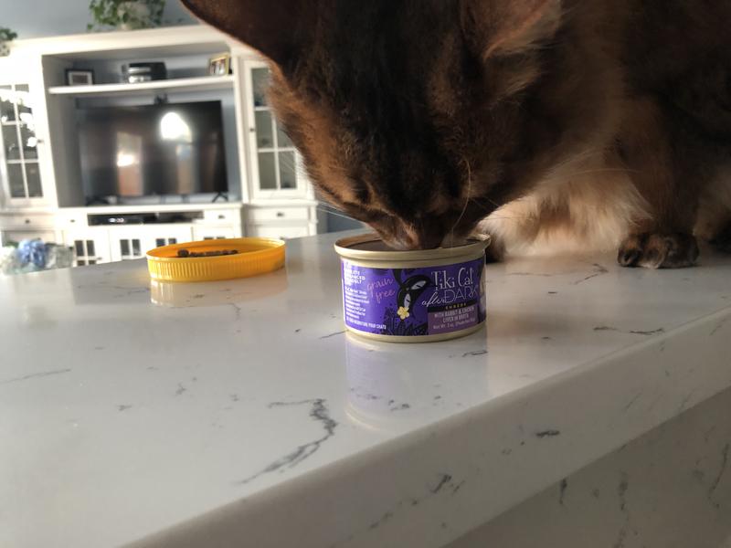 He couldn’t even wait for me to put the food on his plate