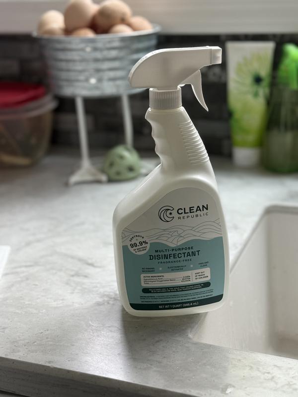 CLEAN REPUBLIC Multi-Purpose Disinfectant Spray, 1-gal jug, 1 count ...