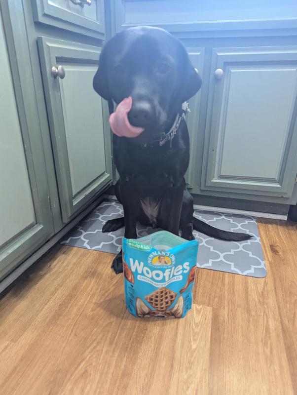 NEWMAN'S OWN Chicken Recipe Woofles Soft & Chewy Dog Treats, 10-oz bag ...