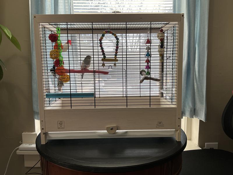 Chucks loves it and so do I.