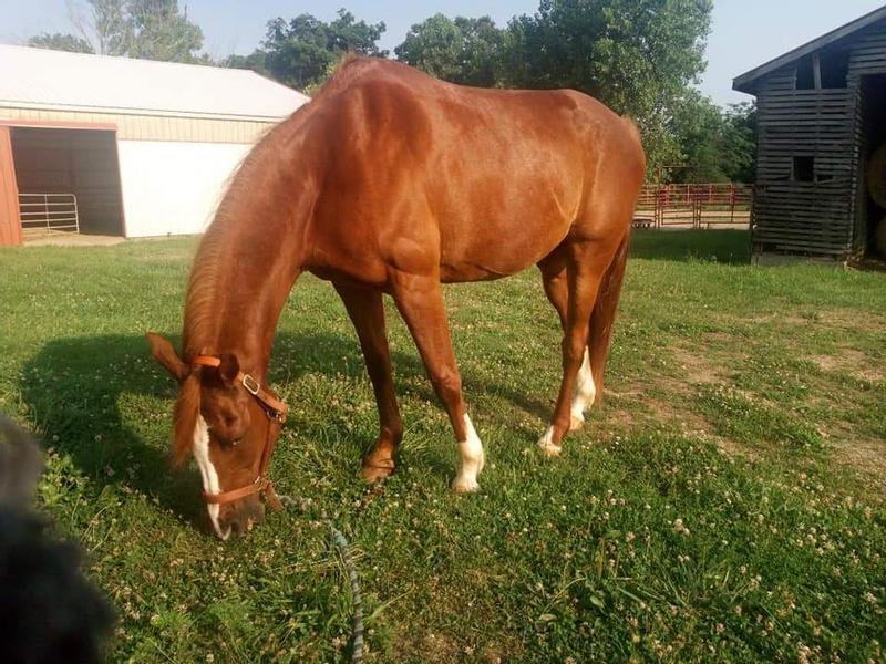 Winston at 21 years old.