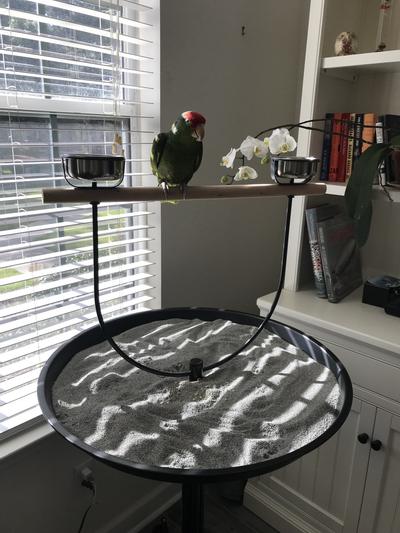Product Reviews for KAYTEE EZ Care T Bird Stand