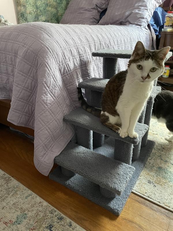 She needs help to get on the bed