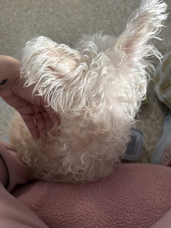 After two months hot spots free and taking bits plus