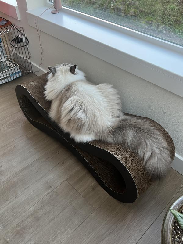 PETFUSION Ultimate Cat Scratcher Lounge Toy with Catnip PETFUSION Ultimate Cat Scratcher Lounge Toy with Catnip