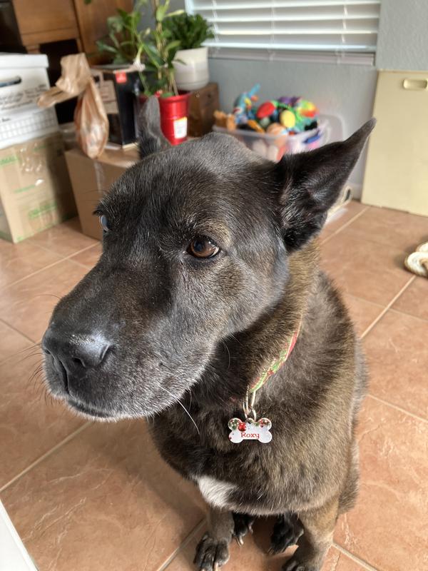 Showing off my jewelry!