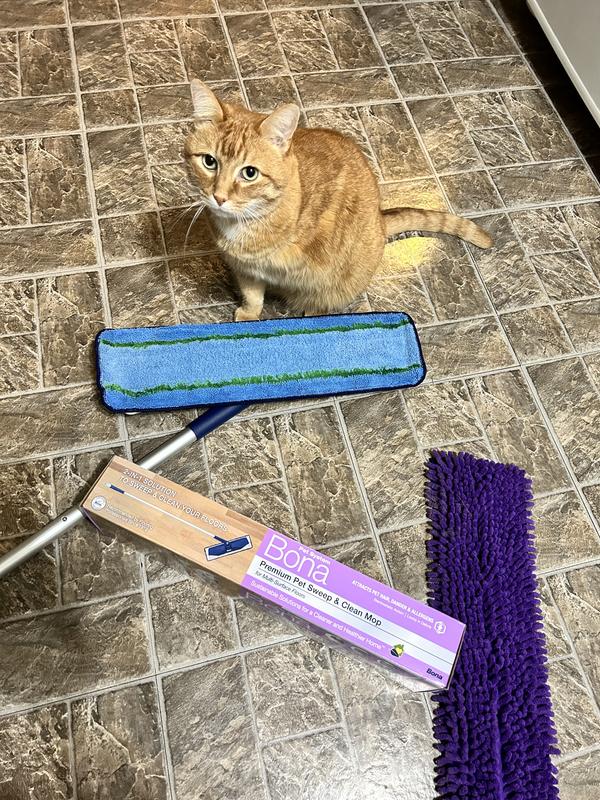 The culprit to all my pet hair woes