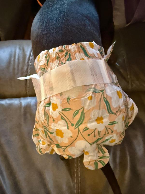 Plenty of tail room.