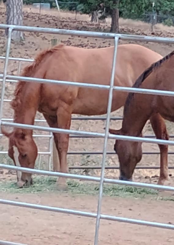 Here he is at 2 years and 2 months