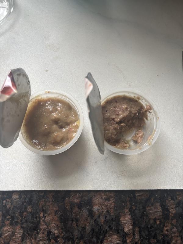 On the left is the new version my cat hates. On the right is the original version that actually contained substance.