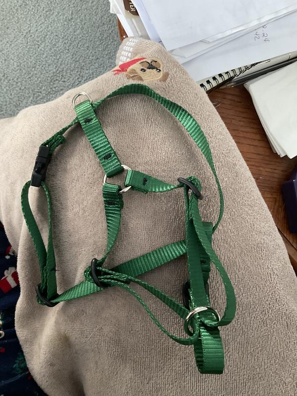 Only Dark green I could find